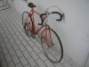 DSCN3374.JPG