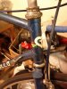 IMG_20120103_160438.jpg