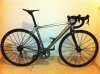 litespeed 3 - Copia.jpg