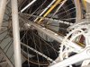 IMG_20120116_121523.jpg