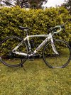 VENDO BIANCHI VIA NIRONE 7 c2c