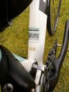 Bianchi 6.jpeg