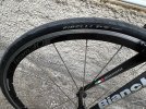 IMG_0041.jpeg