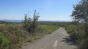 IMG_4629.JPG