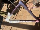 IMG_3418.jpeg