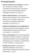 Screenshot_20260921-165956_Google.png