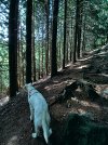 20260921_134953.jpg