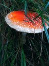 20220922_112059.jpg