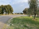 IMG_5778.jpeg
