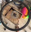 Cerco Ruote in carbonio QR+Disc