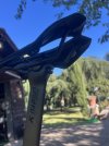 IMG_3491.jpeg