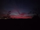 20261005_062726.jpg
