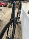 IMG_2444.jpeg