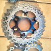 Pacco Pignoni Ultegra 11v R 8000