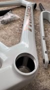 cameleon white and chrome.JPG