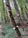 20261005_103432.jpg 20261005_103432.jpg