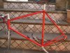 de rosa red 004.jpg