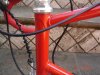 de rosa red 001.jpg