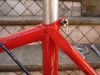 de rosa red 002.jpg