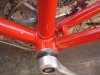de rosa red 003.jpg