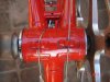 de rosa red 006.jpg