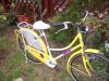 Immagine 092.jpg
