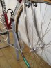 DSC00442.jpg