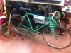 bianchi 1.jpeg