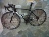 IMG00055-20120210-1628.jpg