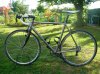 DSCN1528.jpg
