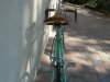 DSCN3695.jpg