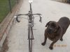 DSCN8264.jpg