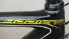 specy 006.jpg