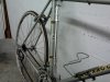 2011-11-24 11.37.41.jpg