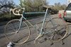 web-3603.jpg