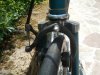 IMG_20120331_124435.jpg