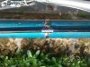 IMG_20120331_124521.jpg