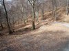 P1020583.jpg P1020583.jpg