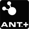 antlogo.jpg