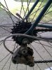 05042012531.jpg