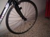 100_8847res.jpg