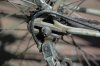 bianchiPR 003.jpg