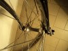 DSC01016.jpg
