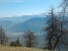 Foto0211.jpg