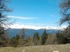 Foto0213.jpg