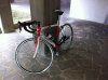 Wilier 2.jpg