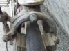 2012-05-12 08.56.45 (1024 x 768).jpg