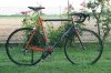 DSC01395_1.jpg