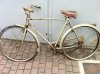 foto 1.jpg
