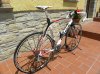 moser foto 004.jpg
